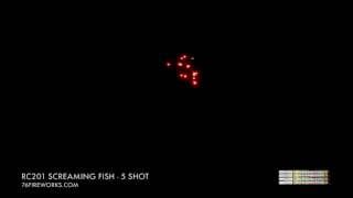 RC201 Screaming Fish - 5 Shot