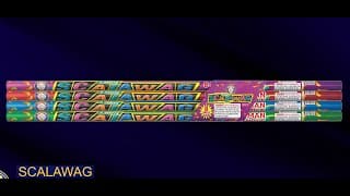 BP3215 Scalawag Roman Candles