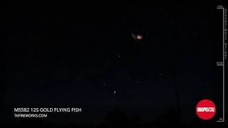 MS582 12s Gold Flying Fish