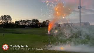 FN487 Toadally Purple - Fountain by Winda Fireworks - 2023 Production