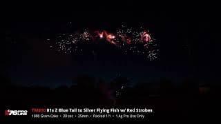 TM810 81s Z Blue Tail to Silver Flying Fish w/ Red Strobes - '76 Pro Line - 2024 Production