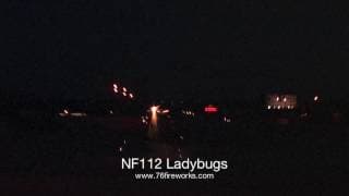 NF112 Ladybugs