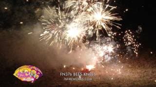 FN376 Bees Knees - Brothers Fireworks