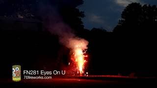 FN281 Eyes On U