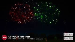 GM639S 12s R/G/B/Y Dahlia Asst - Red, Green, Blue, Yellow Dahlia Cakes - '76 Show Series 2024