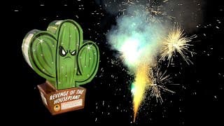FN177 Revenge of the Houseplant - Cactus Fountain - Tako Pyrotechnics 2024